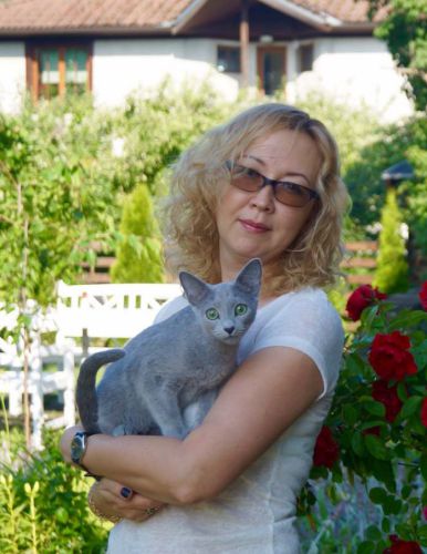 Perfect Cat - питомник русской голубой в Москве, отзывы и контакты питомника